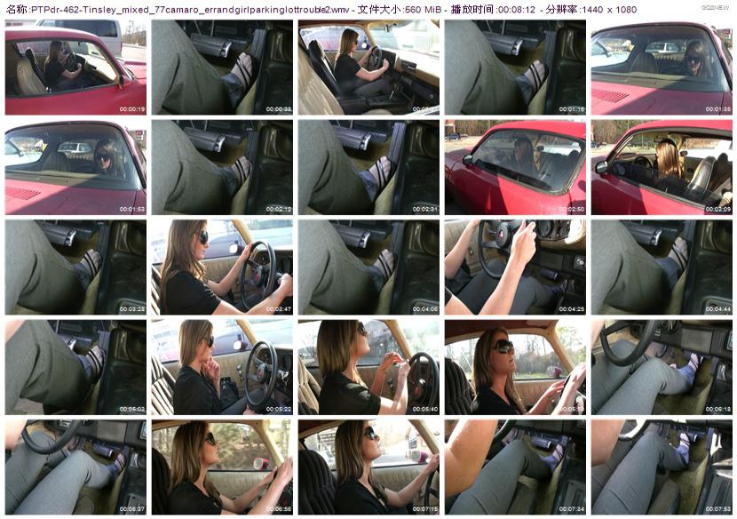 ptpdr-462_Tinsley_mixed_77camaro_errandgirlparkinglottrouble2